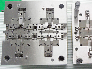 Moulds 02
