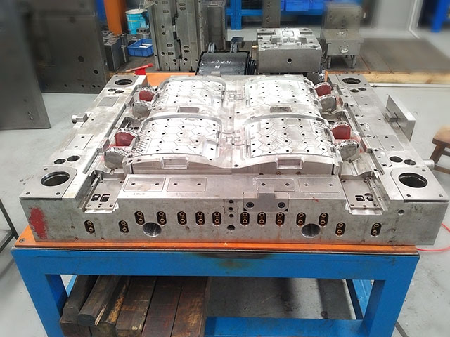 Moulds 08