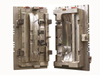 Moulds 07