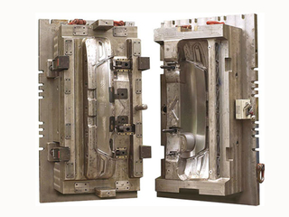 Moulds 07