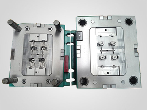 Moulds 03