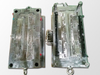 Moulds 13