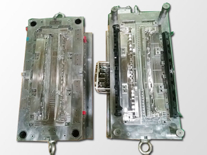 Moulds 13