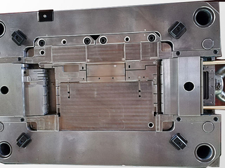 Moulds 11